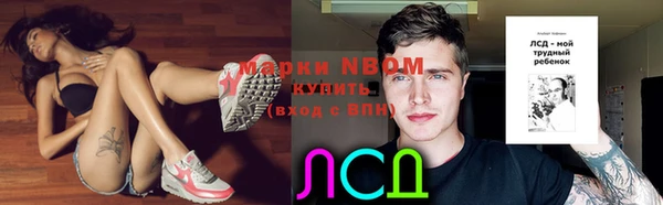 эйфоретик Арсеньев