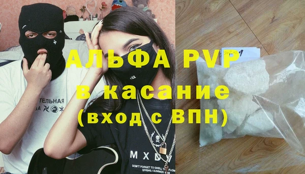 эйфоретик Арсеньев