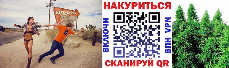 OMG ONION  Можга  Бошки Шишки VHQ  купить  